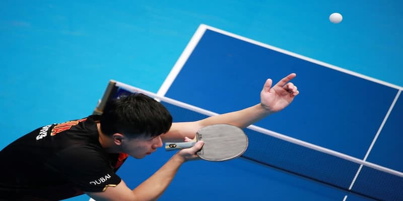 Tài Xỉu hướng dẫn cá cược bóng bàn cho người mới bắt đầu 4 Kinh nghiệm cá cược bóng bàn hữu hiệu Tài Xỉu chia sẻ