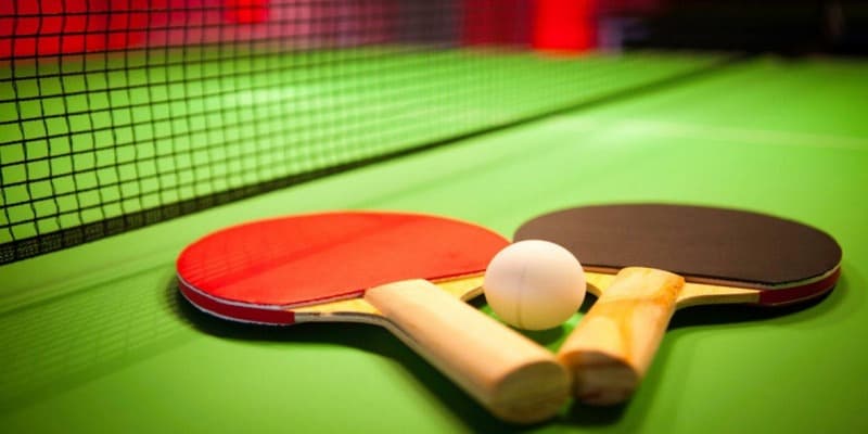 Tài Xỉu hướng dẫn cá cược bóng bàn cho người mới bắt đầu 2 Lý giải thông tin chi tiết về cá cược bóng đá cho newbie