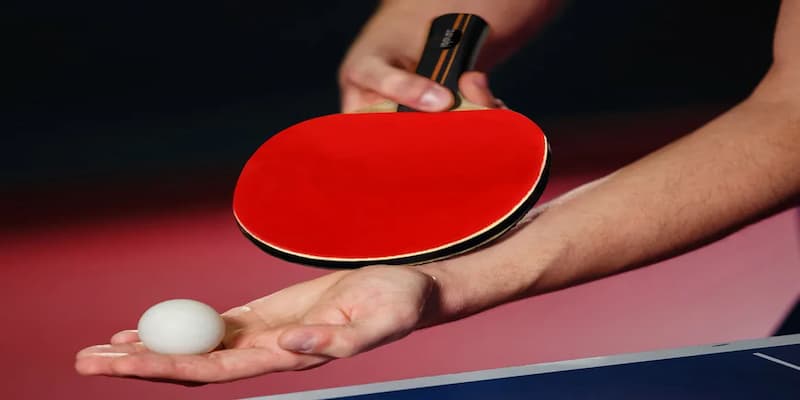 Tài Xỉu hướng dẫn cá cược bóng bàn cho người mới bắt đầu 3 Thông tin cần nắm khi tham gia cá cược bóng bàn Tài Xỉu