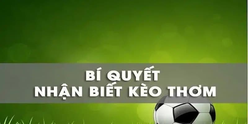 Khám phá kèo thơm cùng Tài Xỉu để giải trí một cách thả ga 4 Bí kíp chinh phục kèo ngon rinh thưởng cực hậu hĩnh