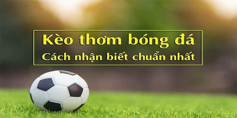 Khám phá kèo thơm cùng Tài Xỉu để giải trí một cách thả ga 3 Bỏ túi cách nhận biết kèo ngon khi cá cược tại Tài Xỉu